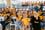 DR. NESTOR M. FELICIANO DAY  | Misamis University Research Center